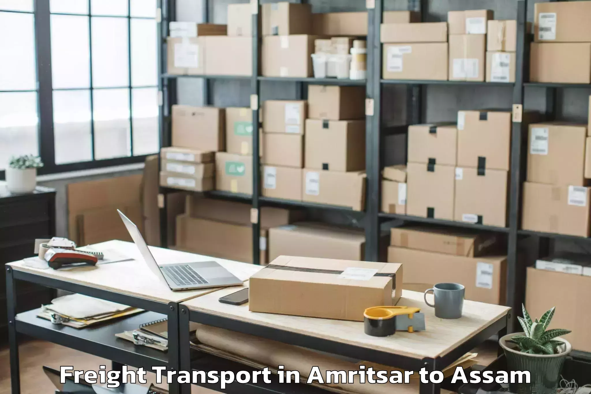 Professional Amritsar to Tezpur University Tezpur Freight Transport